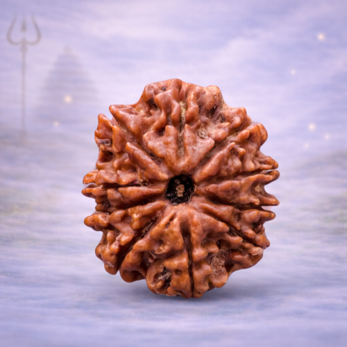 10 Mukhi