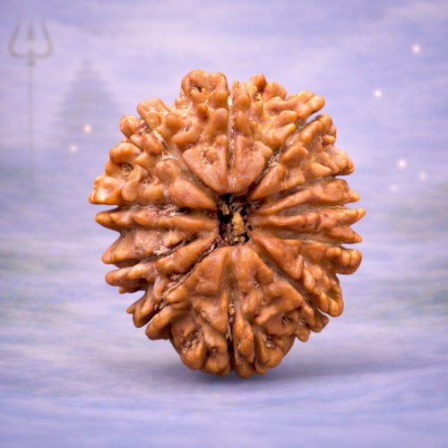 11 Mukhi