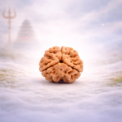 3 Mukhi