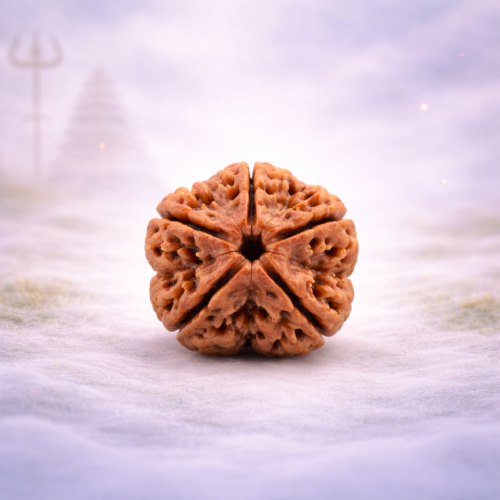 5 Mukhi