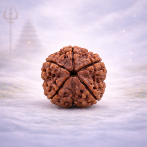 6 Mukhi