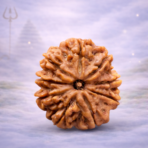 9 Mukhi