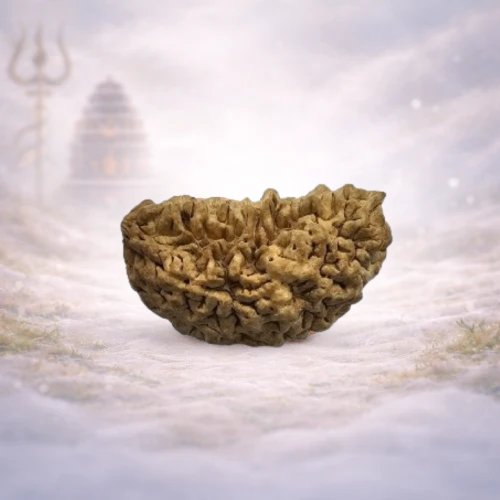 1 Mukhi