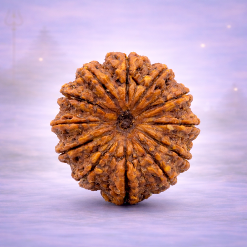 12 Mukhi